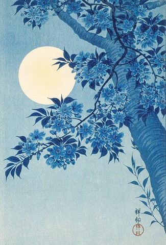 Blossoming Cherry on a Moonlit Night White Modern Wood Framed Art Print with Double Matting by Koson, Ohara