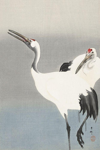 Two cranes White Modern Wood Framed Art Print with Double Matting by Koson, Ohara