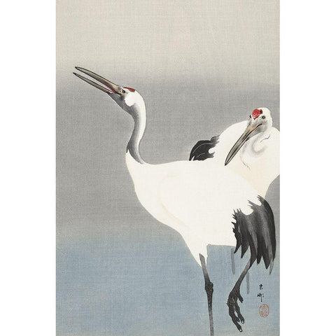 Two cranes Black Modern Wood Framed Art Print with Double Matting by Koson, Ohara