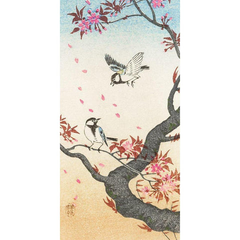 Two great tits at blossoming tree Black Modern Wood Framed Art Print with Double Matting by Koson, Ohara