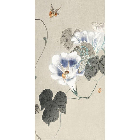 Insects near bindweed Black Modern Wood Framed Art Print with Double Matting by Koson, Ohara