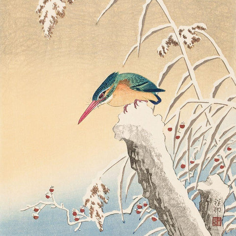 Kingfisher in the snow Gold Ornate Wood Framed Art Print with Double Matting by Koson, Ohara