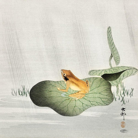 Frog on lotus leaf White Modern Wood Framed Art Print by Koson, Ohara