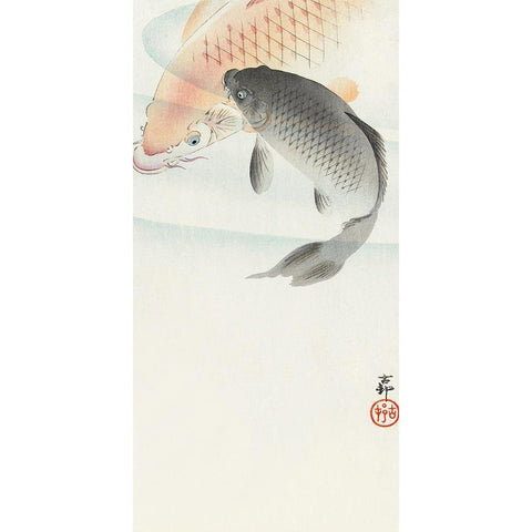 Two carp White Modern Wood Framed Art Print by Koson, Ohara