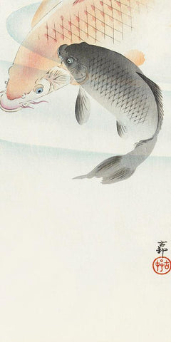 Two carp White Modern Wood Framed Art Print with Double Matting by Koson, Ohara