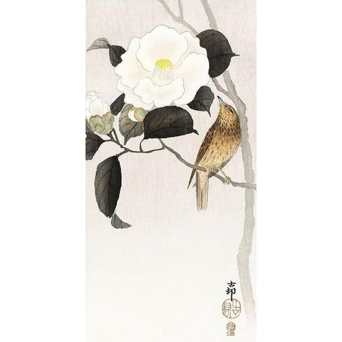 Songbird and flowering camellia Gold Ornate Wood Framed Art Print with Double Matting by Koson, Ohara