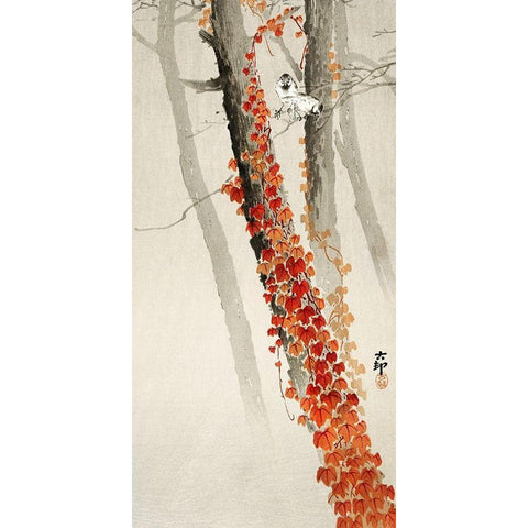 Red ivy White Modern Wood Framed Art Print by Koson, Ohara