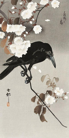 Crow and cherry blossom White Modern Wood Framed Art Print with Double Matting by Koson, Ohara