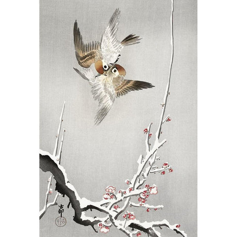 Sparrows and snowy plum tree White Modern Wood Framed Art Print by Koson, Ohara