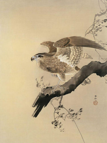 Hawk Black Ornate Wood Framed Art Print with Double Matting by Koson, Ohara