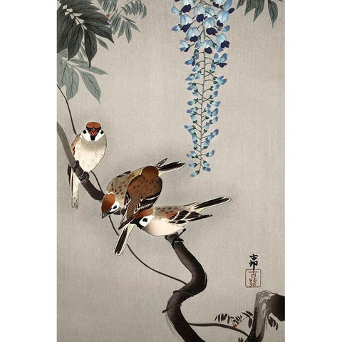 Ring sparrows at wisteria White Modern Wood Framed Art Print by Koson, Ohara