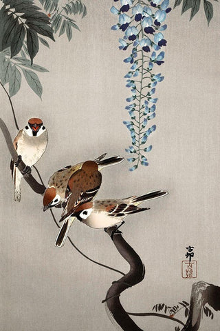 Ring sparrows at wisteria Black Ornate Wood Framed Art Print with Double Matting by Koson, Ohara