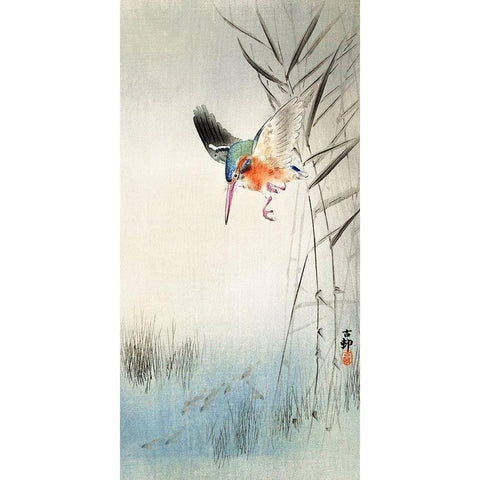 Kingfisher hunting for fish in the water White Modern Wood Framed Art Print by Koson, Ohara