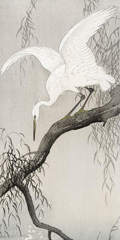 White heron on tree branch Black Ornate Wood Framed Art Print with Double Matting by Koson, Ohara