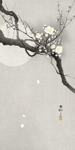 Plum blossom and full moon White Modern Wood Framed Art Print with Double Matting by Koson, Ohara