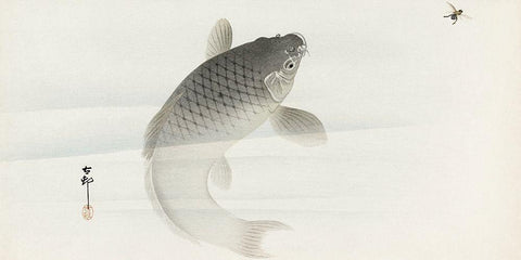 Carp and fly White Modern Wood Framed Art Print with Double Matting by Koson, Ohara