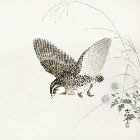 Flying quail Gold Ornate Wood Framed Art Print with Double Matting by Koson, Ohara