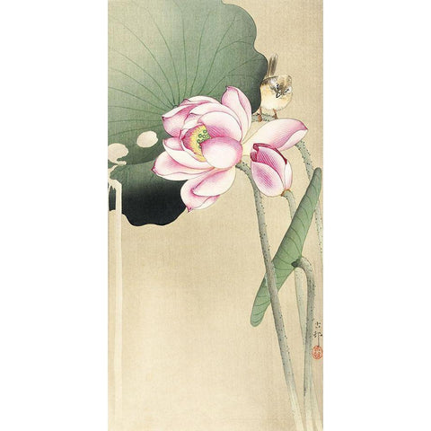 Songbird and LotusÂ  Gold Ornate Wood Framed Art Print with Double Matting by Koson, Ohara