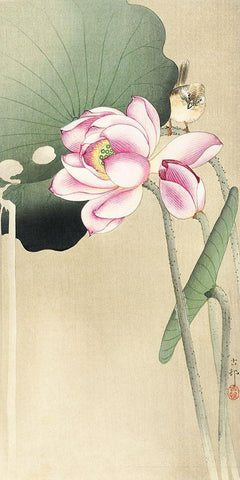 Songbird and LotusÂ  White Modern Wood Framed Art Print with Double Matting by Koson, Ohara