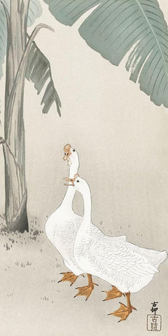 Two geese at banana tree White Modern Wood Framed Art Print with Double Matting by Koson, Ohara