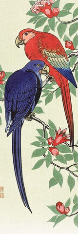 Red and a blue parrot Black Ornate Wood Framed Art Print with Double Matting by Koson, Ohara