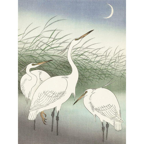 Herons in shallow water Gold Ornate Wood Framed Art Print with Double Matting by Koson, Ohara