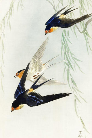 Three birds in full flight Black Ornate Wood Framed Art Print with Double Matting by Koson, Ohara