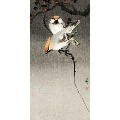 Bohemian waxwing birds White Modern Wood Framed Art Print by Koson, Ohara