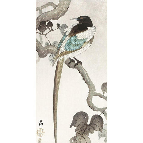 Magpie on tree branch Black Modern Wood Framed Art Print with Double Matting by Koson, Ohara