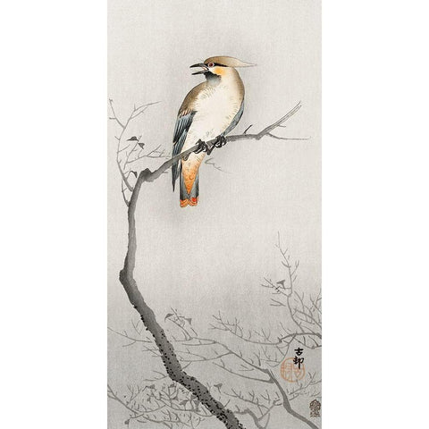 Japanese plague bird on branch White Modern Wood Framed Art Print by Koson, Ohara