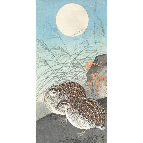 Two quails at full moon Black Modern Wood Framed Art Print with Double Matting by Koson, Ohara