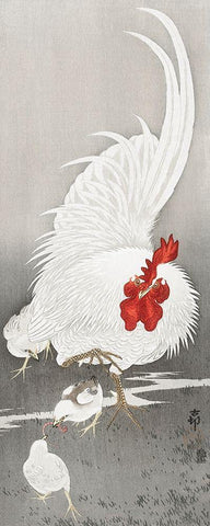 Rooster and three chicks White Modern Wood Framed Art Print with Double Matting by Koson, Ohara