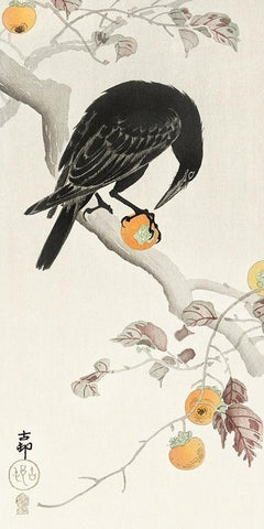 Crow with kaki fruit Black Ornate Wood Framed Art Print with Double Matting by Koson, Ohara