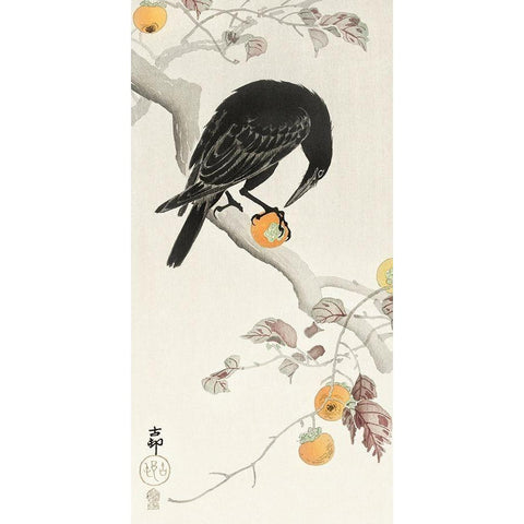 Crow with kaki fruit White Modern Wood Framed Art Print by Koson, Ohara