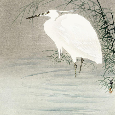 Little egret White Modern Wood Framed Art Print by Koson, Ohara