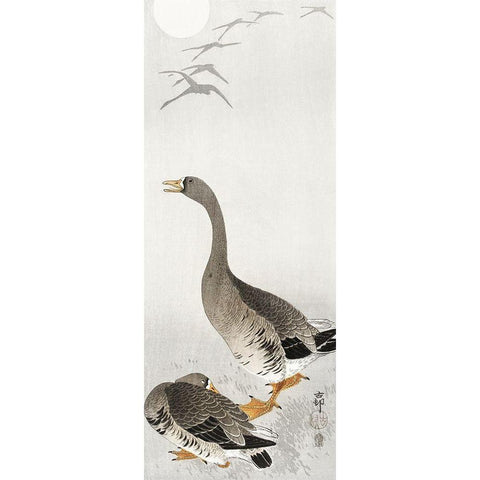 Two geese Black Modern Wood Framed Art Print with Double Matting by Koson, Ohara