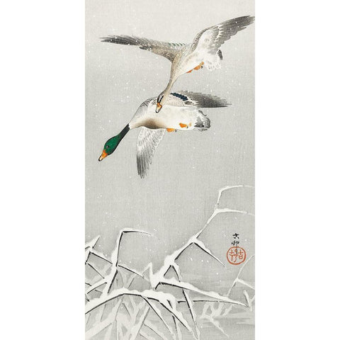 Two wild ducks in flight White Modern Wood Framed Art Print by Koson, Ohara