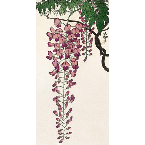 Blooming wisteria Gold Ornate Wood Framed Art Print with Double Matting by Koson, Ohara