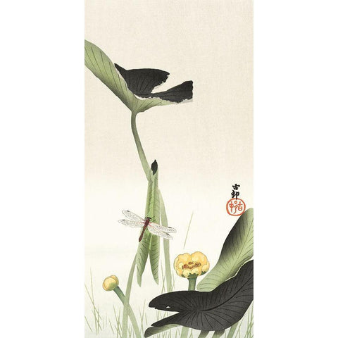 Libelle and lotus Black Modern Wood Framed Art Print by Koson, Ohara