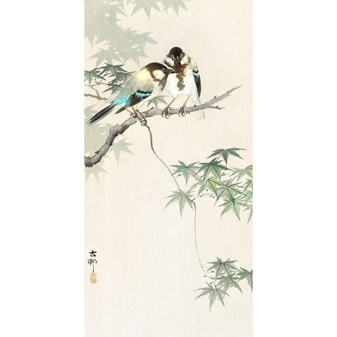 Great tits on maple branch Black Modern Wood Framed Art Print with Double Matting by Koson, Ohara