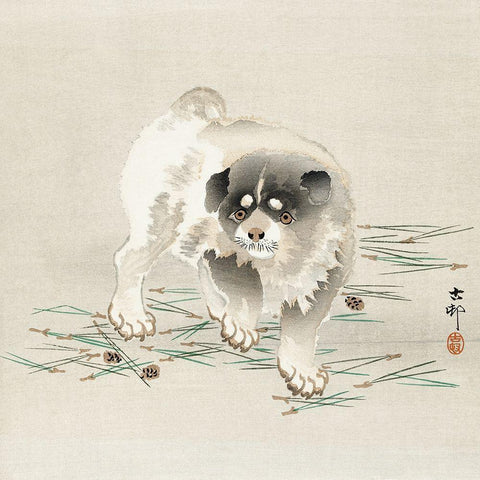 Young dog White Modern Wood Framed Art Print by Koson, Ohara