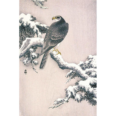 Goshawk on Snow-covered Pine Bough Gold Ornate Wood Framed Art Print with Double Matting by Koson, Ohara