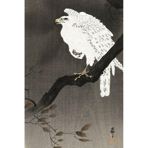 Snowy eagle on a tree branch Black Modern Wood Framed Art Print by Koson, Ohara