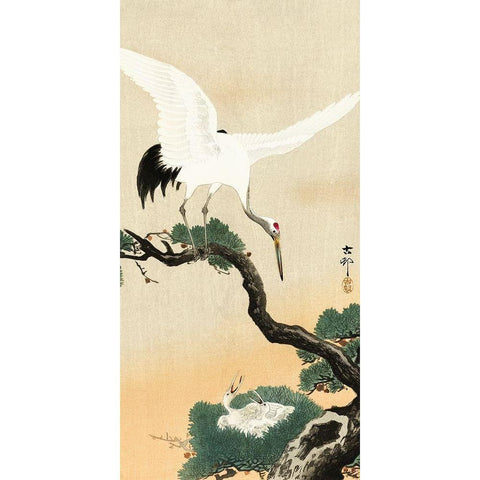 Japanese crane bird on branch of pine White Modern Wood Framed Art Print by Koson, Ohara