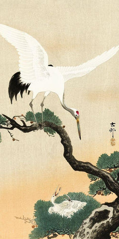 Japanese crane bird on branch of pine White Modern Wood Framed Art Print with Double Matting by Koson, Ohara