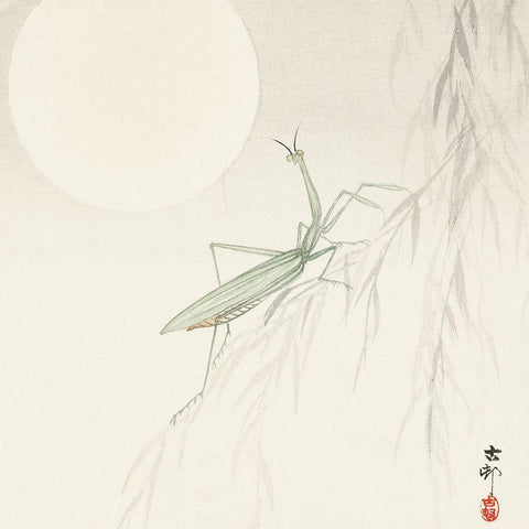 Praying mantis White Modern Wood Framed Art Print by Koson, Ohara