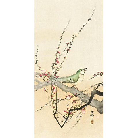 Songbird and plum blossom Black Modern Wood Framed Art Print by Koson, Ohara