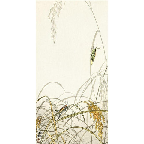 Grasshoppers on rice plants White Modern Wood Framed Art Print by Koson, Ohara