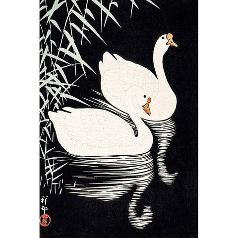 White Chinese Geese Swimming by Reeds Black Modern Wood Framed Art Print by Koson, Ohara