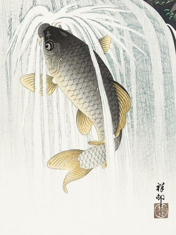 Carp White Modern Wood Framed Art Print with Double Matting by Koson, Ohara